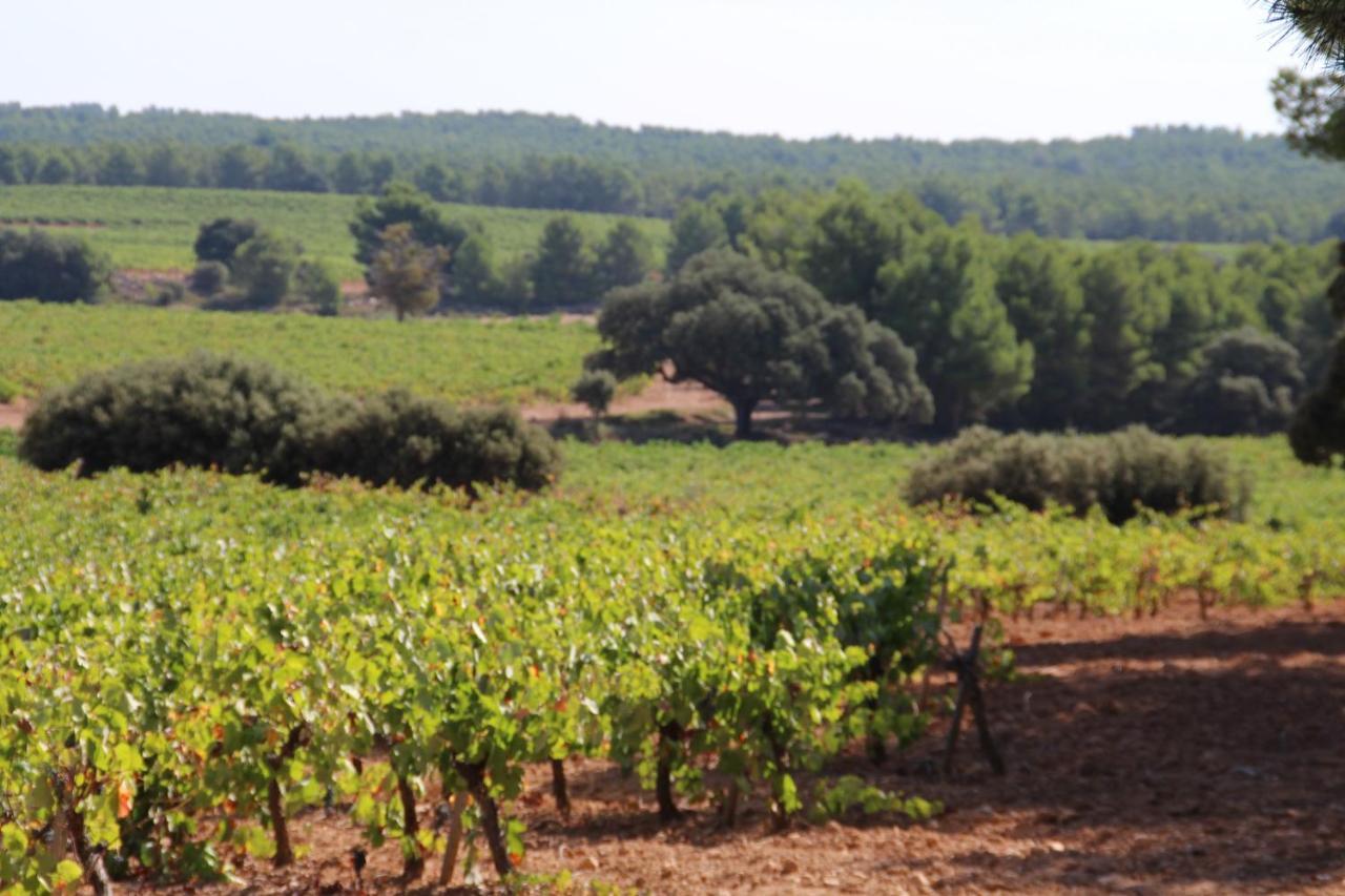 Gospodarstwo wiejskie Rural Entrevinas Caudete de las Fuentes