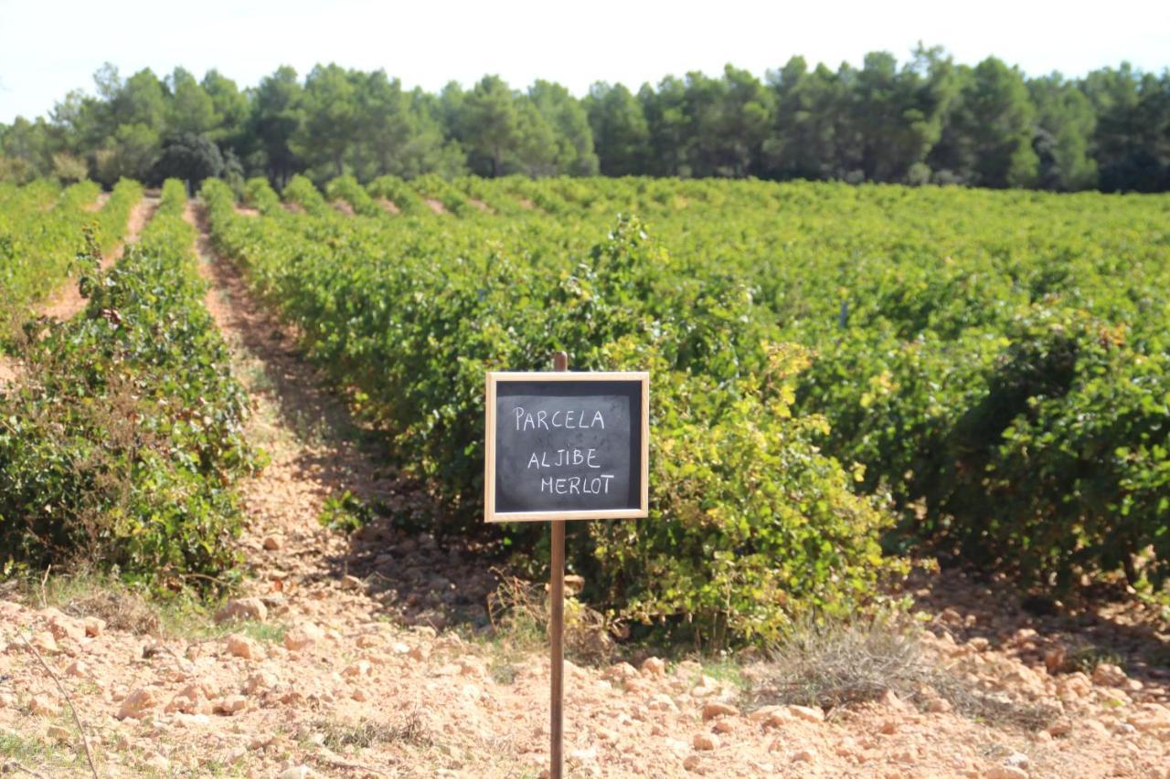 Rural Entrevinas